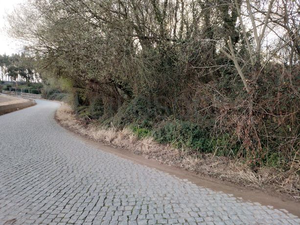 Terreno · Vila do Conde