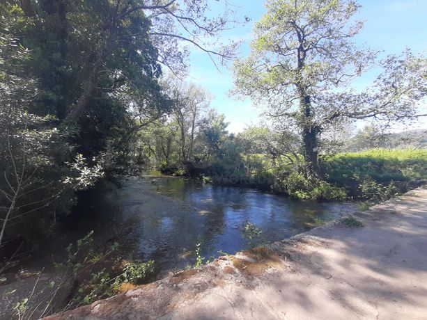 Quinta · Âncora, Caminha