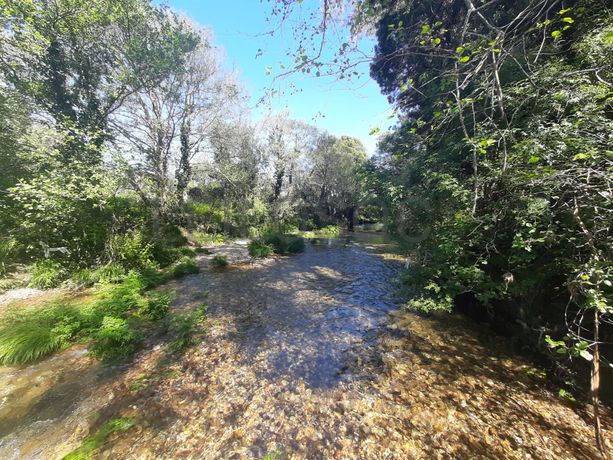 Quinta · Âncora, Caminha
