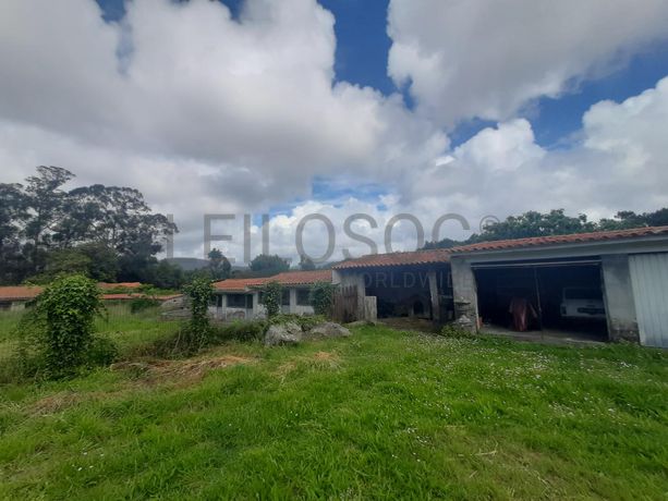 Quinta · Âncora, Caminha