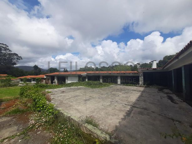 Quinta · Âncora, Caminha