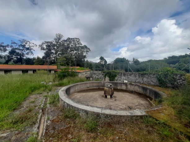 Quinta · Âncora, Caminha