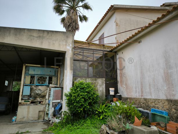 Moradia + Armazém + Terreno  · Torres Vedras
