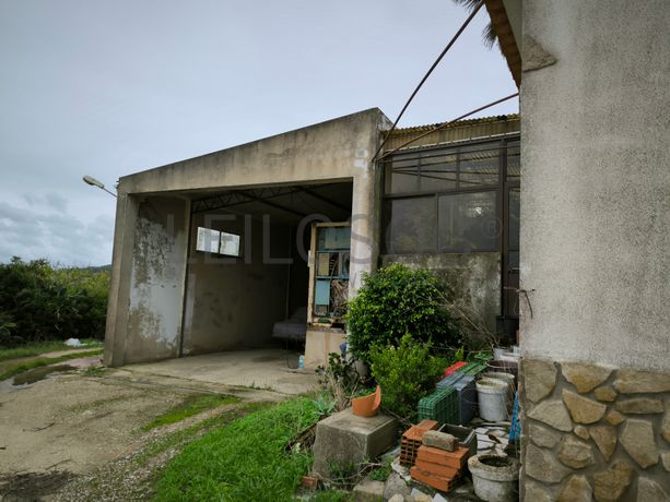 Moradia + Armazém + Terreno  · Torres Vedras