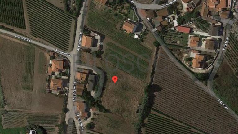 Moradia + Armazém + Terreno  · Torres Vedras