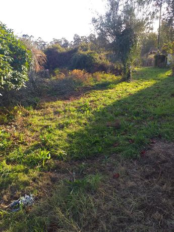 Quinhão Hereditário ·  Ponte de Lima
