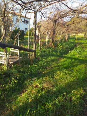 Quinhão Hereditário ·  Ponte de Lima