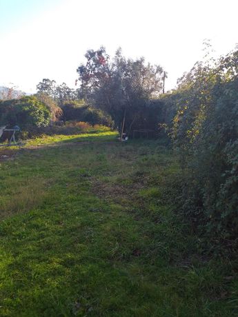 Quinhão Hereditário ·  Ponte de Lima