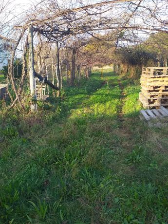 Quinhão Hereditário ·  Ponte de Lima