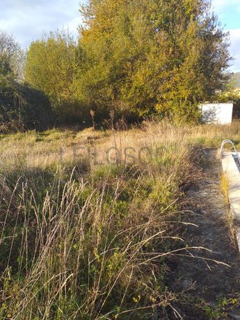 Quinhão Hereditário ·  Ponte de Lima