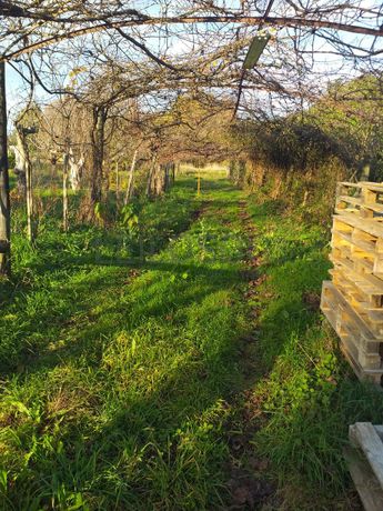 Quinhão Hereditário ·  Ponte de Lima