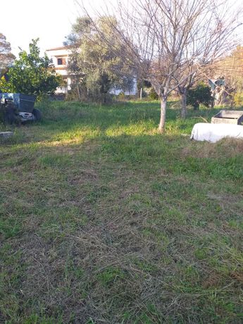 Quinhão Hereditário ·  Ponte de Lima