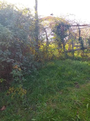 Quinhão Hereditário ·  Ponte de Lima