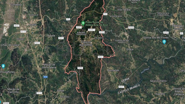 Terreno · Figueiró dos Vinhos, Leiria