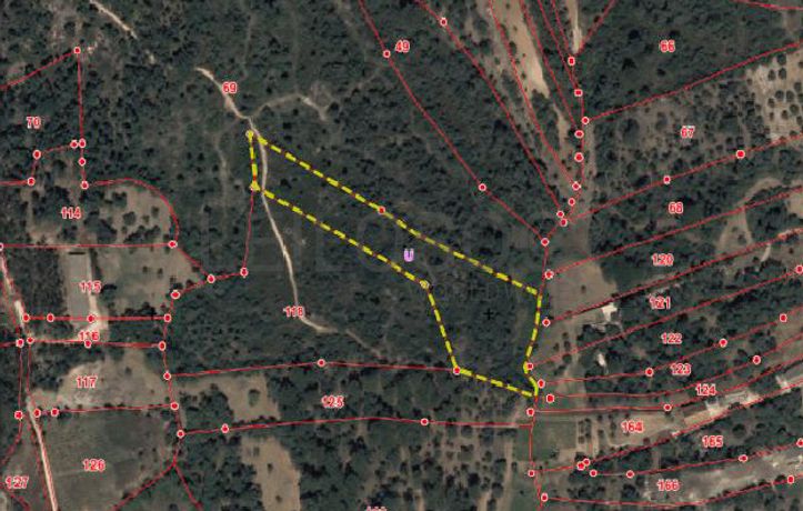 Proporção de 9/10 de Terreno · Torres Novas, Santarém