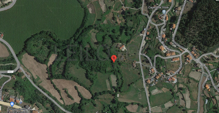 Proporção de 1/2 de Terrenos · Baião