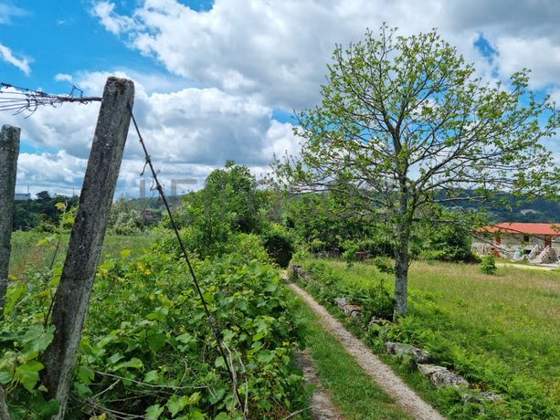 Proporção de 1/2 de Terrenos · Baião