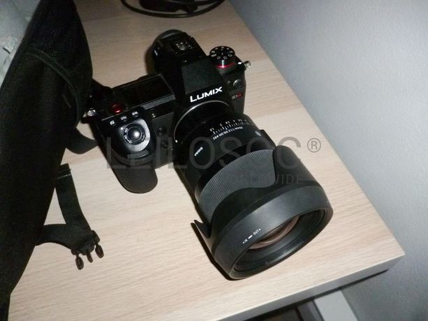 Artigo de Desporto · Equipamento Diverso · Veículo Ligeiro de Mercadorias