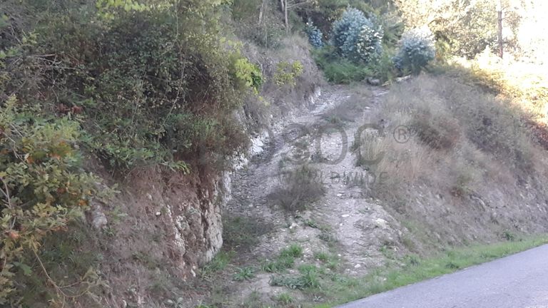 Quinhão Hereditário · São Pedro do Sul, Viseu