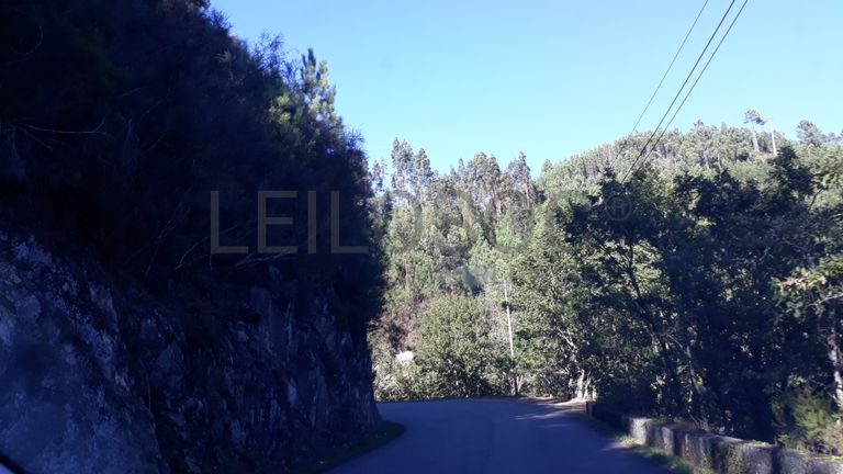 Quinhão Hereditário · São Pedro do Sul, Viseu