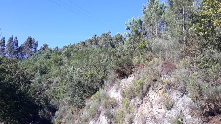 Quinhão Hereditário · São Pedro do Sul, Viseu