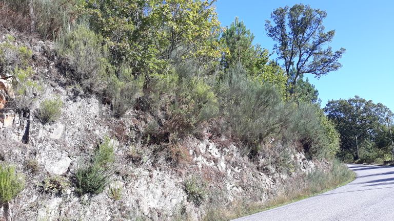 Quinhão Hereditário · São Pedro do Sul, Viseu