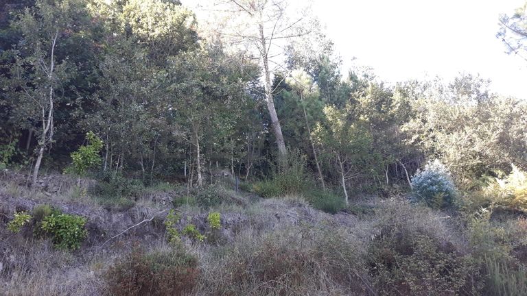 Quinhão Hereditário · São Pedro do Sul, Viseu