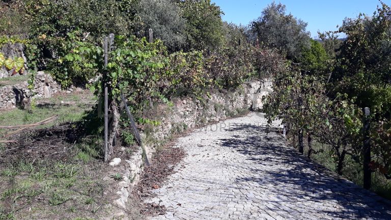 Quinhão Hereditário · São Pedro do Sul, Viseu