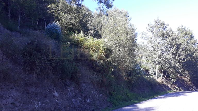 Quinhão Hereditário · São Pedro do Sul, Viseu