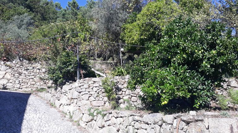 Quinhão Hereditário · São Pedro do Sul, Viseu