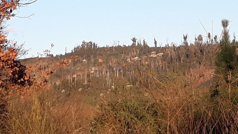 Proporção de 3/8 de Terreno · Viseu