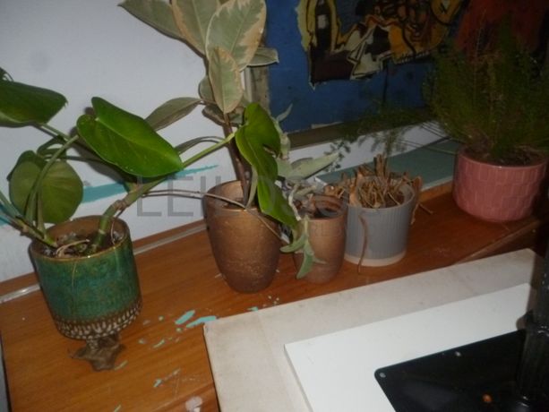 Equipamentos · Hotelaria