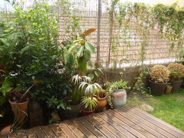 Equipamentos Hotelaria · Artigos decorativos · Diversos