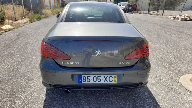 Peugeot 307 · Ano 2004