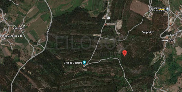 Terreno c/ 8.000m² · Valpedre, Penafiel