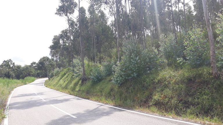 Terreno · Figueira da Foz