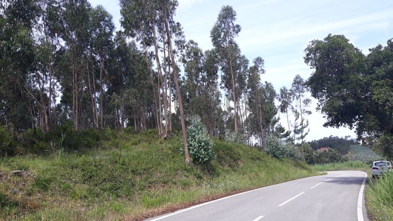 Terreno · Figueira da Foz