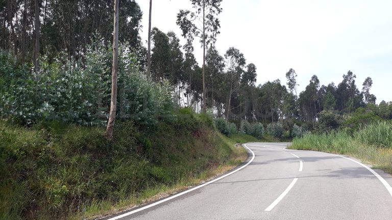 Terreno · Figueira da Foz