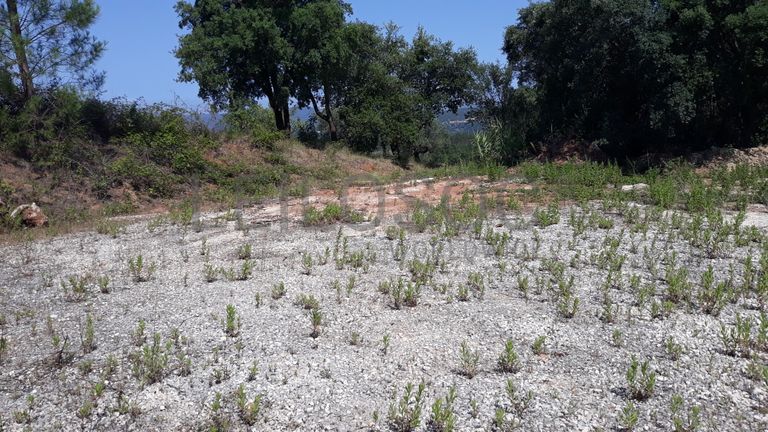 Terreno · Santarém