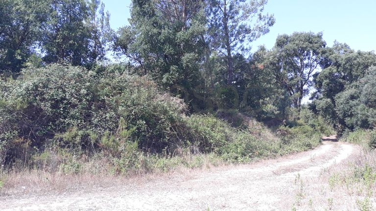 Terreno · Santarém