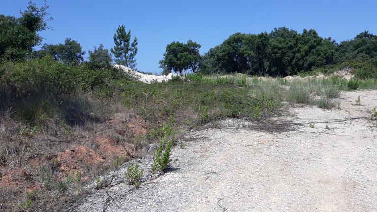 Terreno · Santarém