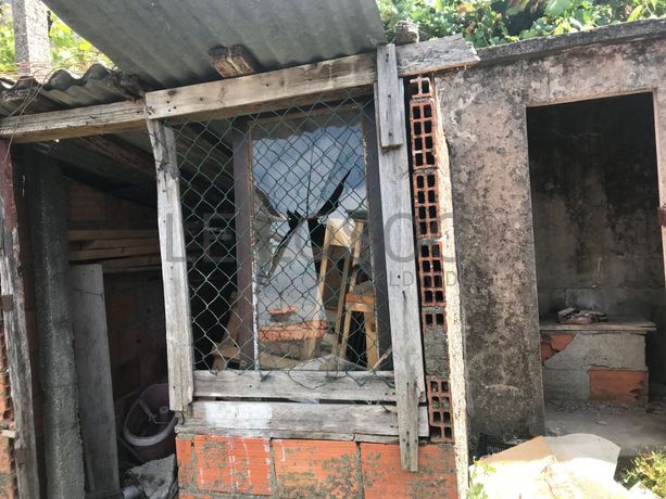 Quinhão Hereditário · Marco de Canaveses