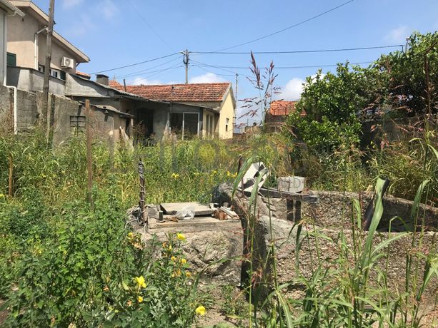 Quinhão Hereditário · Marco de Canaveses