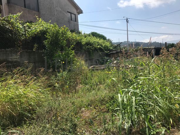 Quinhão Hereditário · Marco de Canaveses