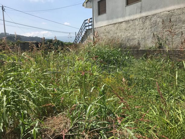 Quinhão Hereditário · Marco de Canaveses