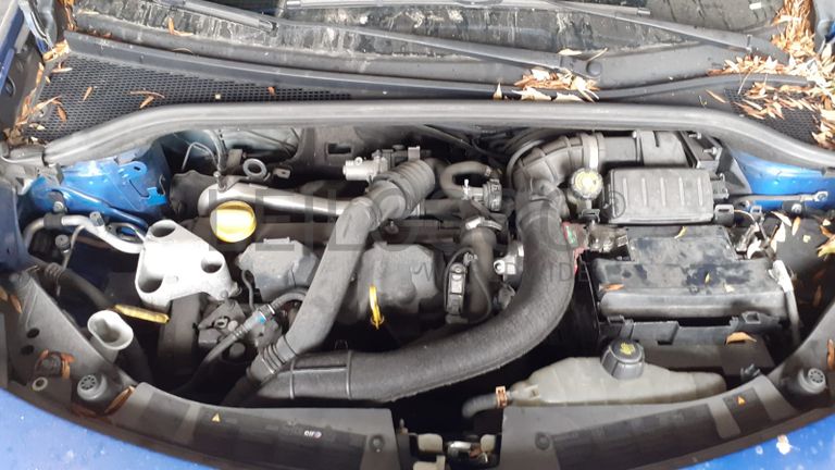 Renault Clio · Ano 2010