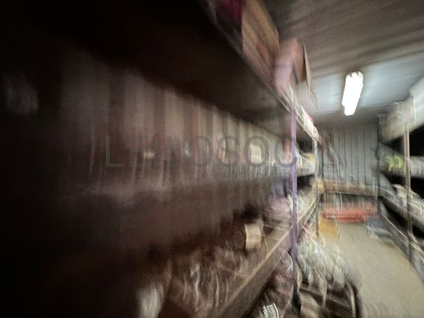 Contentor marítimo com stock de materiais consumíveis destinados à construção civil