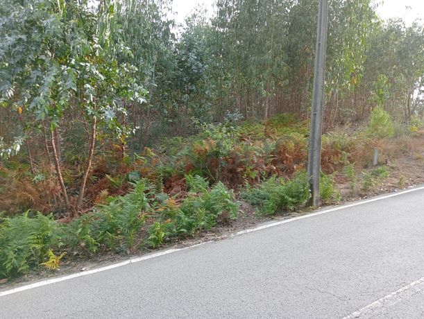 Terreno c/ 400m² · Valpedre, Penafiel