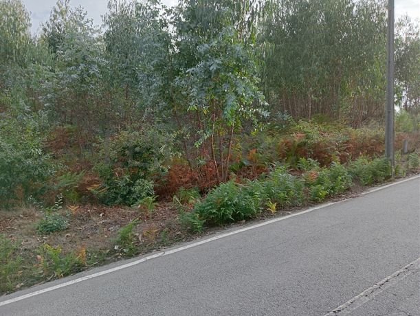 Terreno c/ 400m² · Valpedre, Penafiel