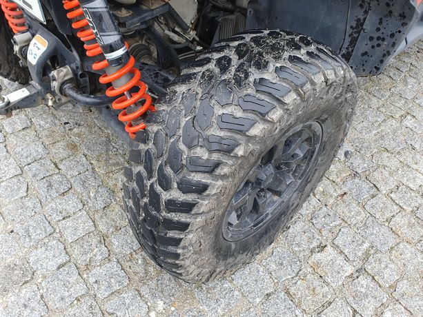 Buggy CAN-AM · 4 Lugares · Ano 2020 